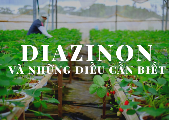 Diazinon và những điều cần biết