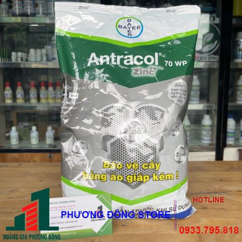 Thuốc trừ bệnh Antracol 70WP