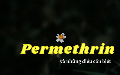 Permethrin và một số câu hỏi 