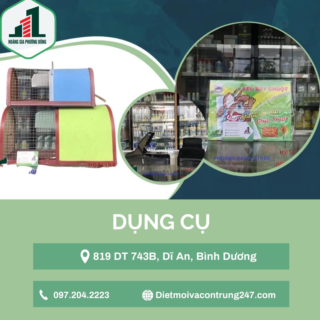 Dụng cụ