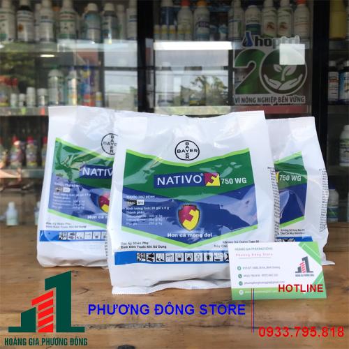 Thuốc trừ bệnh Nativo 750WG